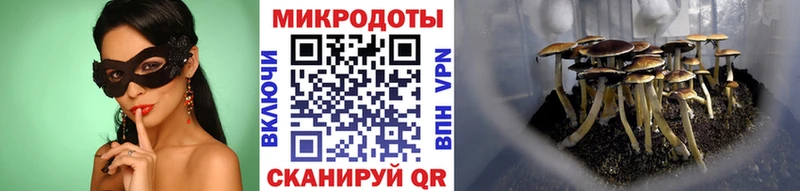 наркотики  Макарьев  Галлюциногенные грибы прущие грибы 