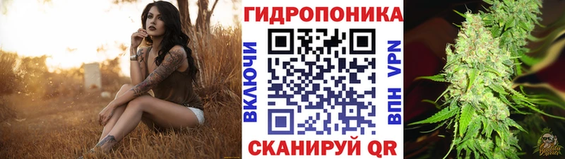 Конопля AK-47 Макарьев